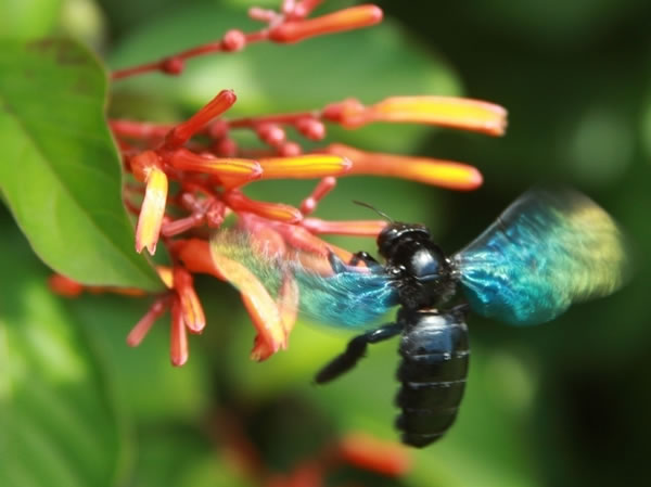 �μ����� �ܹ������μ�����ò���