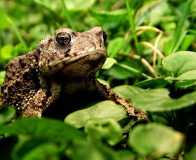 �μ���� �μ���� ��ʲôԤ�� �ò���