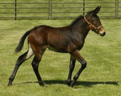 �μ����� �����μ����Ӻò���