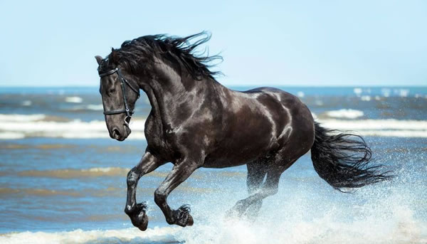 �μ��� ��ƥ �ܹ������μ����ò���