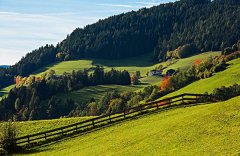 2022��2����������