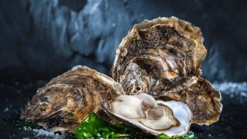 �μ�ĵ�� �μ�ĵ�úò��� �μ�ĵ����ʲôԤ��