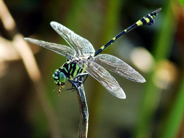 �μ����� �μ�������ʲôԤ��