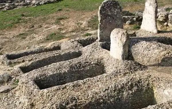 �μ�������ʬ