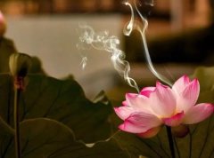 �μ�����쳾 �����μ�����쳾��ʲôԤ�� �μ�����쳾�ò���