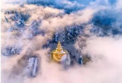 �μ����� �����μ�������ʲôԤ�� �μ�����ò���