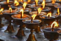 �μ�ѳ���� �����μ�ѳ������ʲôԤ�� �μ�ѳ���ߺò���