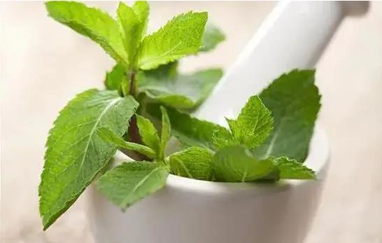 �μ�����