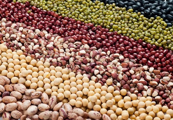 �μ�����