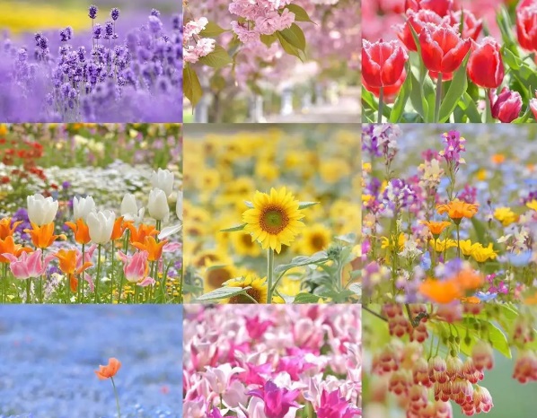 �μ�����