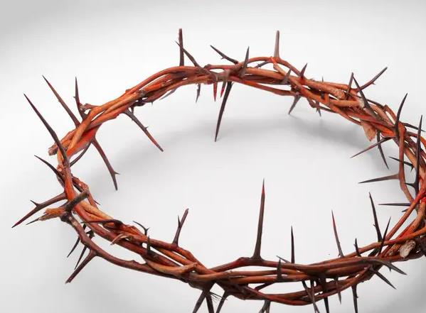 �μ�����