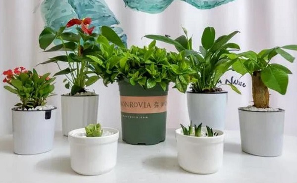 �μ�����