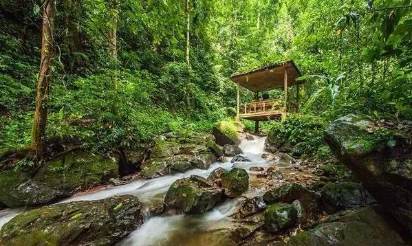 �μ��ȴ�����