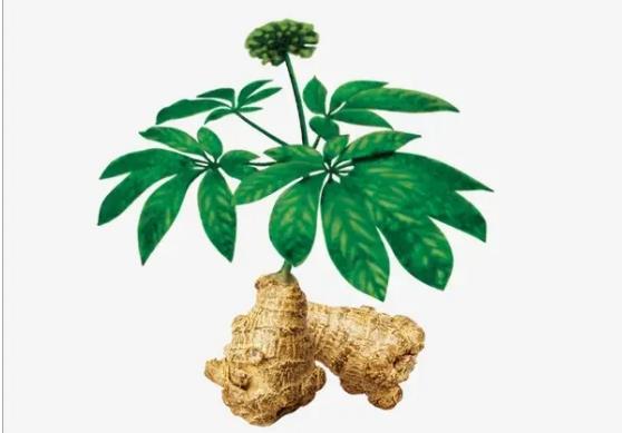 �μ�����