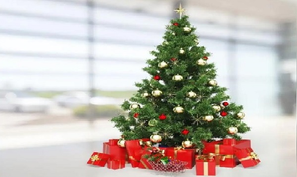 �μ�ʥ����