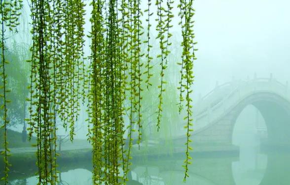 �μ�����