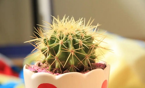 �μ�������