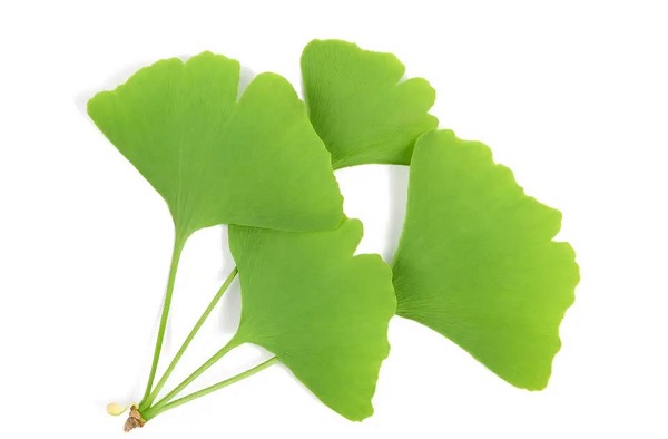 �μ�����