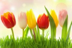 �μ������� �����μ���������ʲôԤ�� �μ�������ò���