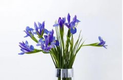 �μ��β�� �����μ��β����ʲôԤ�� �μ��β���ò���