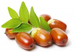 �μ����� �����μ�������ʲôԤ�� �μ������ò���