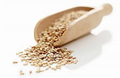 �μ�֥�� �����μ�֥����ʲôԤ�� �μ�֥��ò���