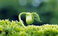 �μ����� �����μ�������ʲôԤ�� �μ����Ӻò���