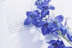 �μ������� �����μ���������ʲôԤ�� �μ��������ò���