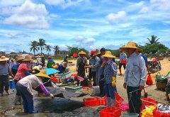 梦见鱼市 做梦梦见鱼市是什么预兆 梦见鱼市好不好
