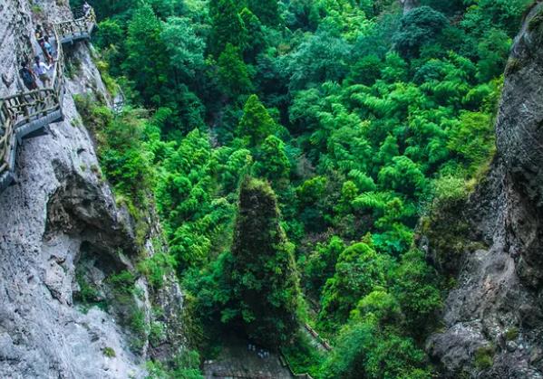 �μ�������Ԩ