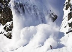 �μ�ѩ�� �����μ�ѩ����ʲôԤ�� �μ�ѩ���ò���