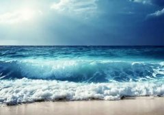 �μ��ǳ� �����μ��ǳ���ʲôԤ�� �μ��ǳ��ò���