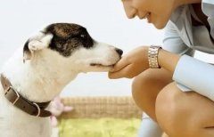 �μ����� �����μ�������ʲôԤ�� �μ����˺ò���