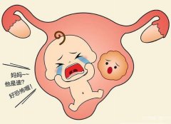 �μ��ӹ� �����μ��ӹ���ʲôԤ�� �μ��ӹ��ò���