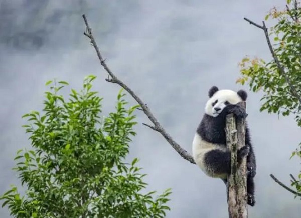 �μ����� 