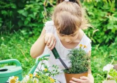 �μ��ֻ� �����μ��ֻ���ʲôԤ�� �μ��ֻ��ò���