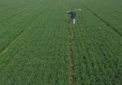 �μ������� �����μ���������ʲôԤ�� �μ������Ӻò���