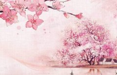 �μ������� �����μ���������ʲôԤ�� �μ��������ò���