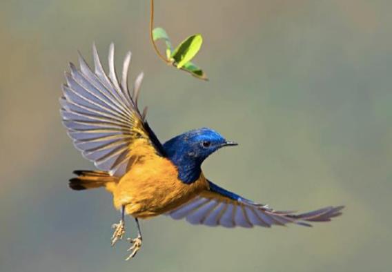 �μ�ץ��׽��