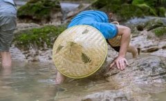 �μ�ץϺ��Ϻ �����μ�ץϺ��Ϻ��ʲôԤ�� �μ�ץϺ��Ϻ�ò���