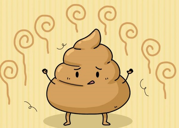 �μ�ʺմ�� �����μ�ʺմ����ʲôԤ�� �μ�ʺմ���ò���