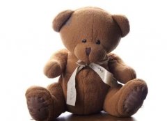 梦见棕色 做梦梦见棕色是什么预兆 梦见棕色好不好