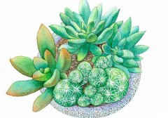 <b>����¥��ʩ����ˮ��ɷ</b>