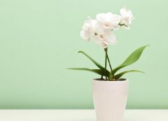 <b>סլ�ķ�ˮ������˳����</b>