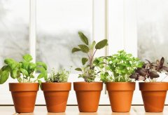 <b>���������Ĺ��λ</b>