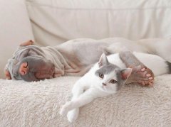 <b>סլ��ˮ��ˮ�Ľ��ͺ�����</b>