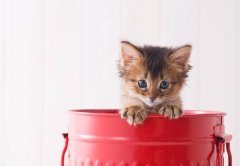 <b>11�ֽϲ��סլ��ˮλ��</b>