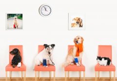 <b>���������ĵķ�ˮ</b>