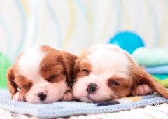 <b>סլ�д����ˮ����</b>