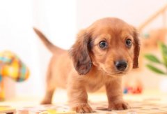 <b>Ӱ�����ķ�ˮ</b>